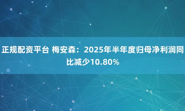 正规配资平台 梅安森：2025年半年度归母净利润同比减少10.80%