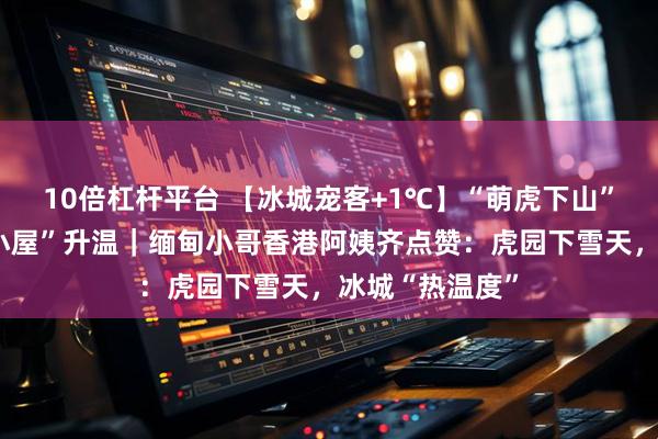 10倍杠杆平台 【冰城宠客+1℃】“萌虎下山”迎客，“爱心小屋”升温｜缅甸小哥香港阿姨齐点赞：虎园下雪天，冰城“热温度”